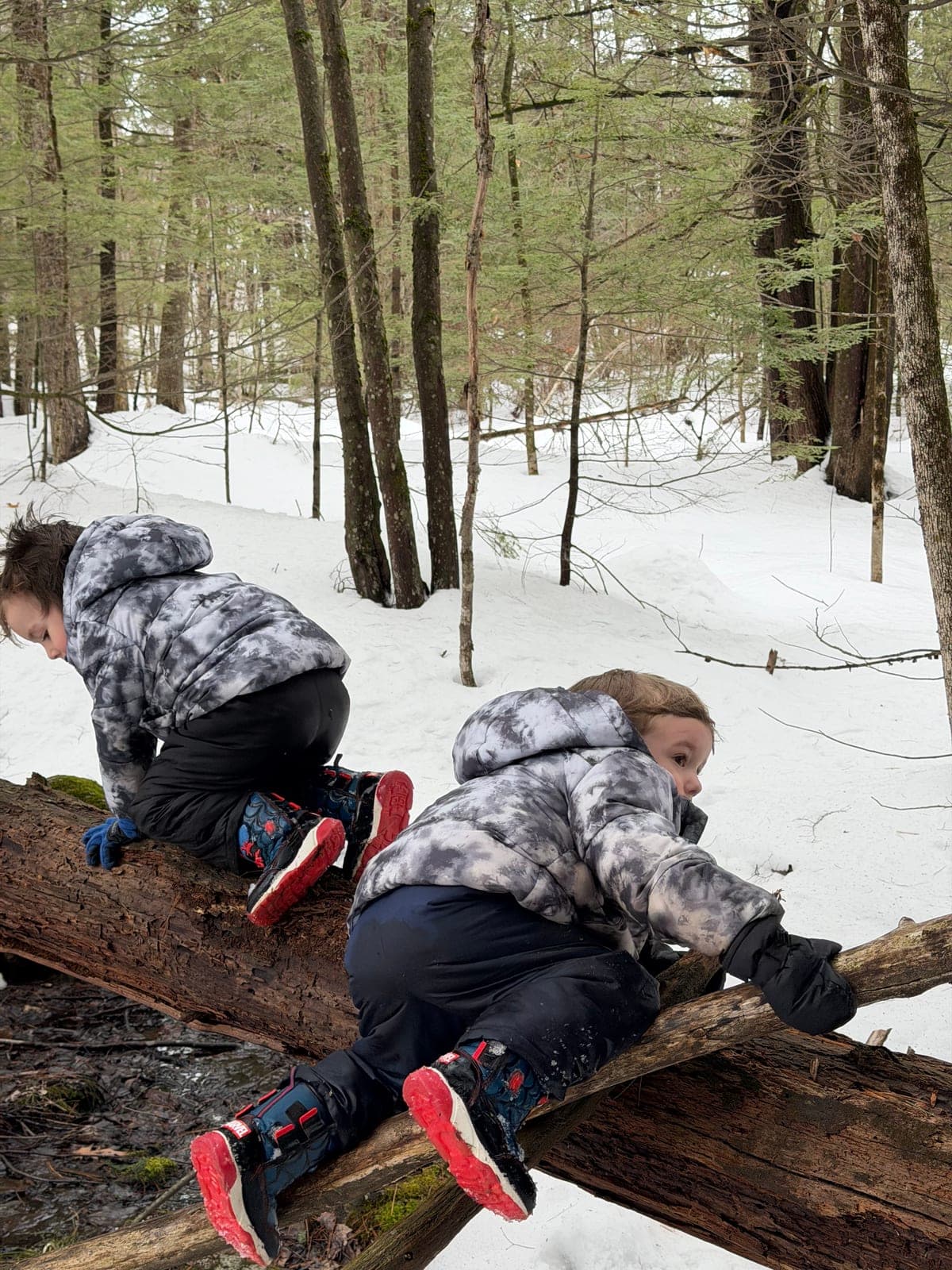 Two children climbing a fallen log in the snowy woods